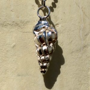 Silver Auger Shell Necklace