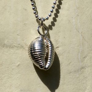 Silver Cowrie shell necklace